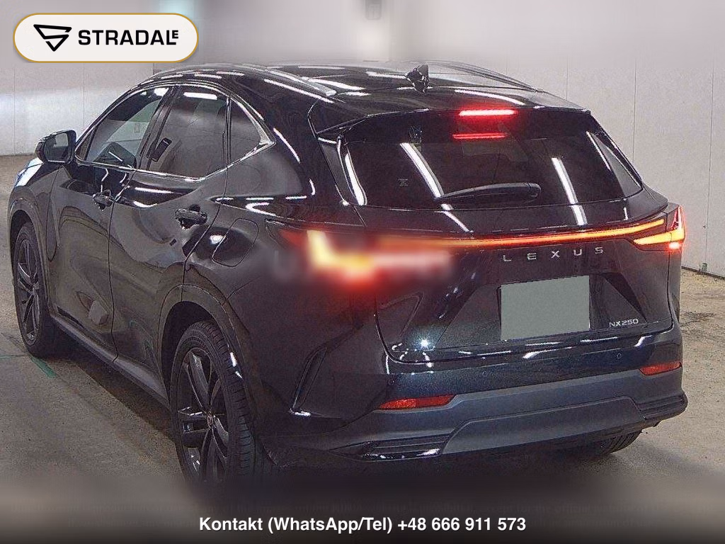 LEXUS NX NX250 VERSION L, miniaturka 3