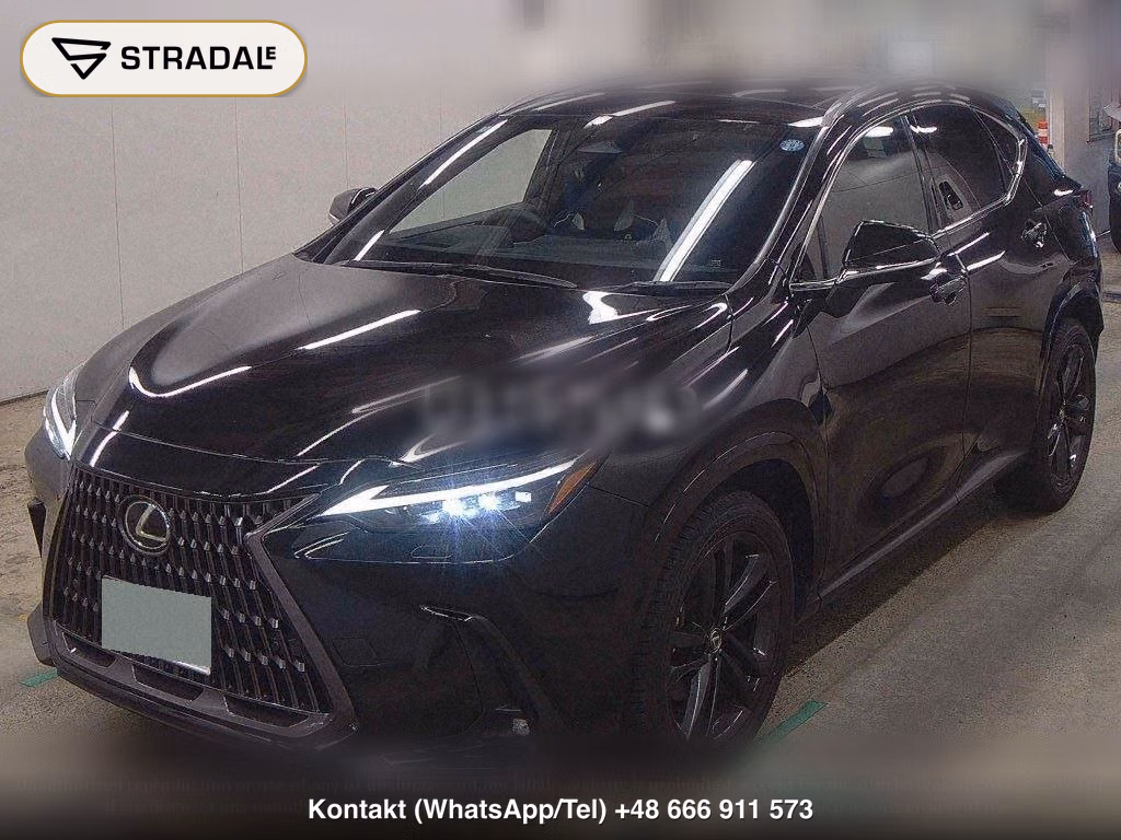 LEXUS NX NX250 VERSION L, miniaturka 5