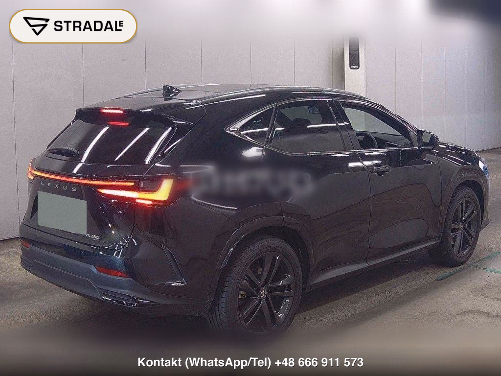 LEXUS NX NX250 VERSION L, miniaturka 6