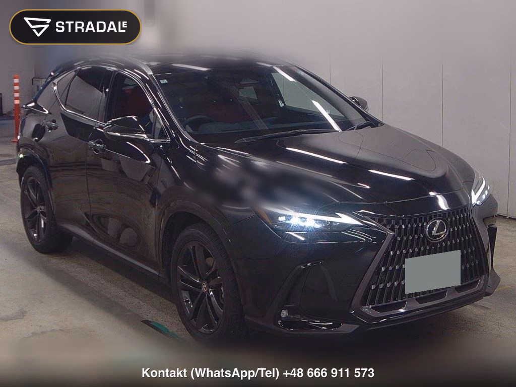 LEXUS NX NX250 VERSION L 2024, aukcja z Japonii, zdjęcie 1