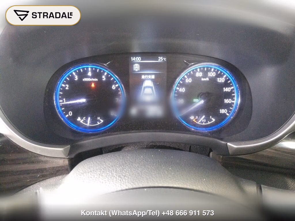 NISSAN ELGRAND 5D 250 HIGHWAY STAR S URBAN CHROME, miniaturka 7