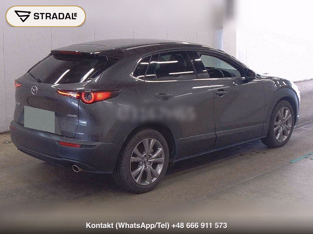 MAZDA CX-30 XD PROACTIVE TOURING SELECTION, miniaturka 6