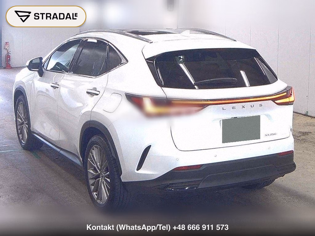 LEXUS NX NX250 VERSION L, miniaturka 3