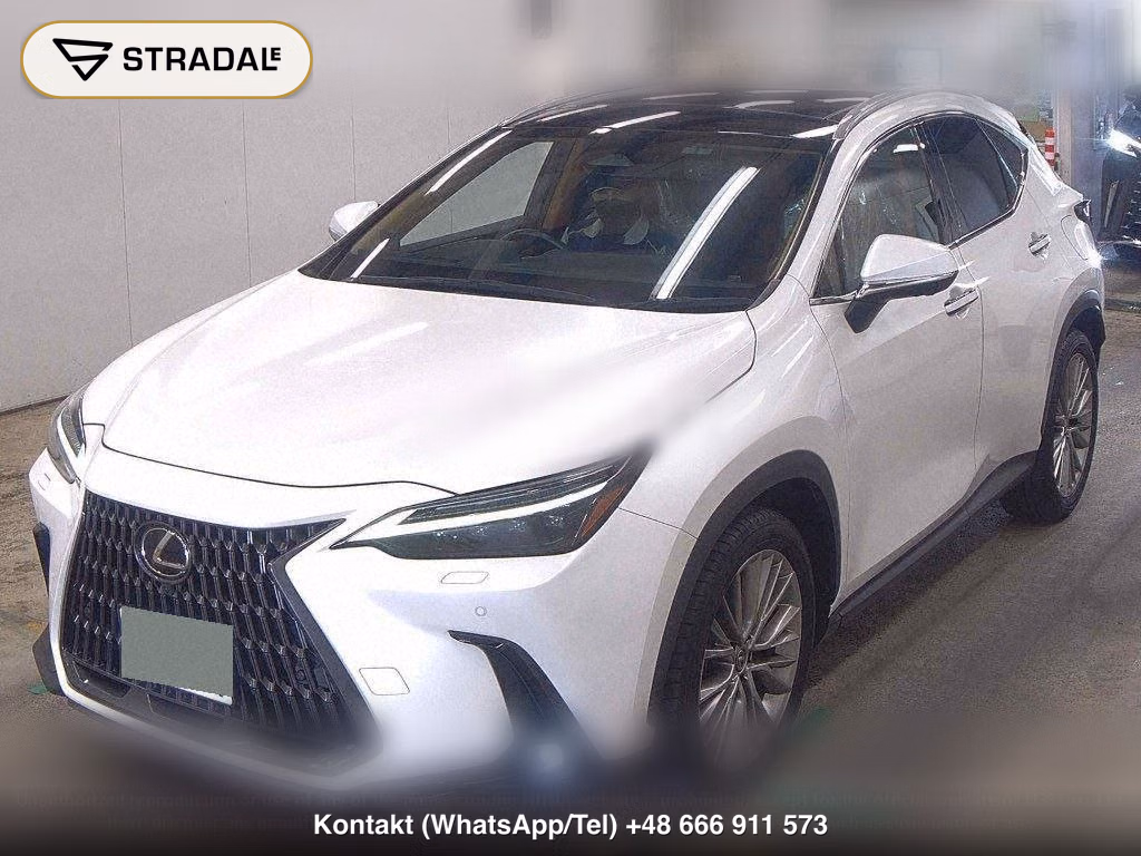 LEXUS NX NX250 VERSION L, miniaturka 5