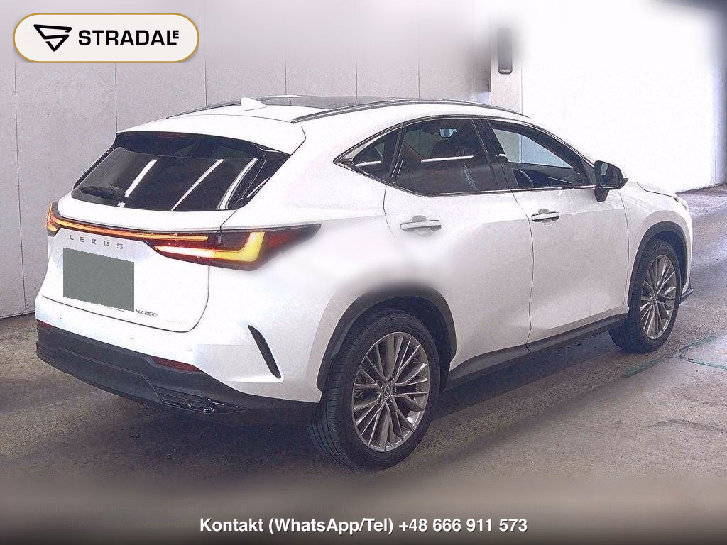 LEXUS NX NX250 VERSION L, miniaturka 6