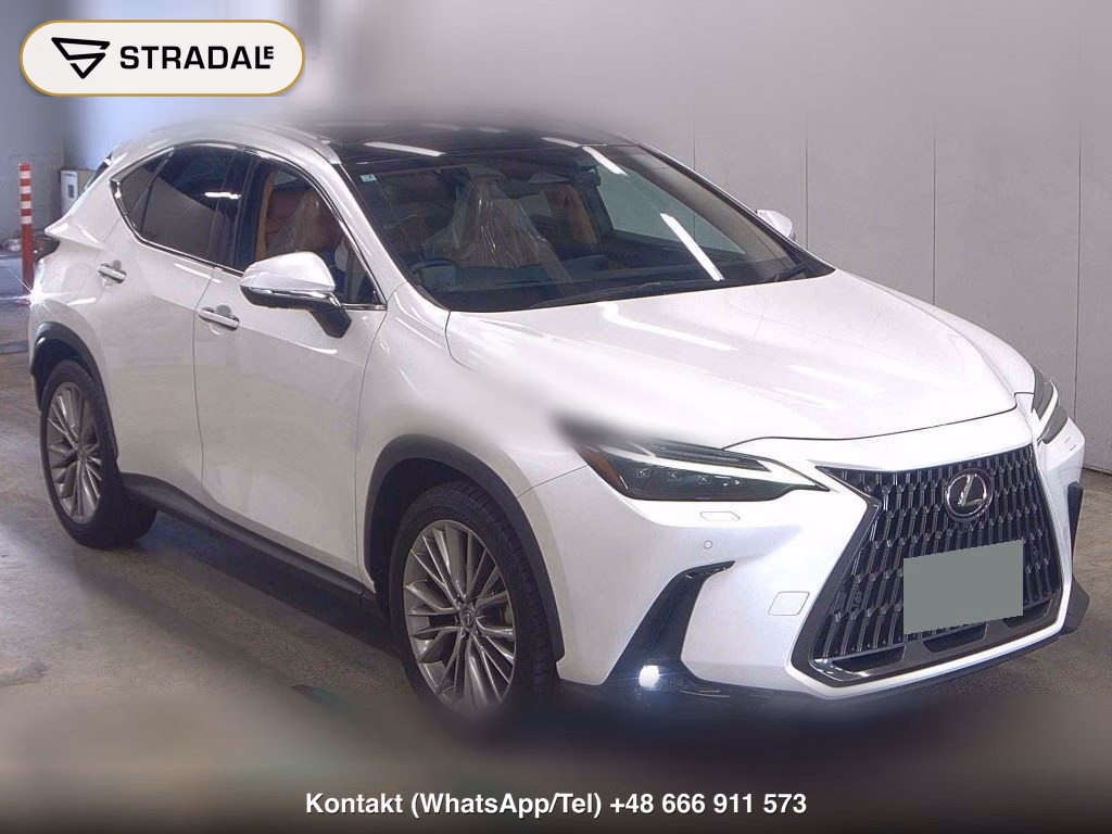 LEXUS NX NX250 VERSION L 2023, aukcja z Japonii, zdjęcie 1