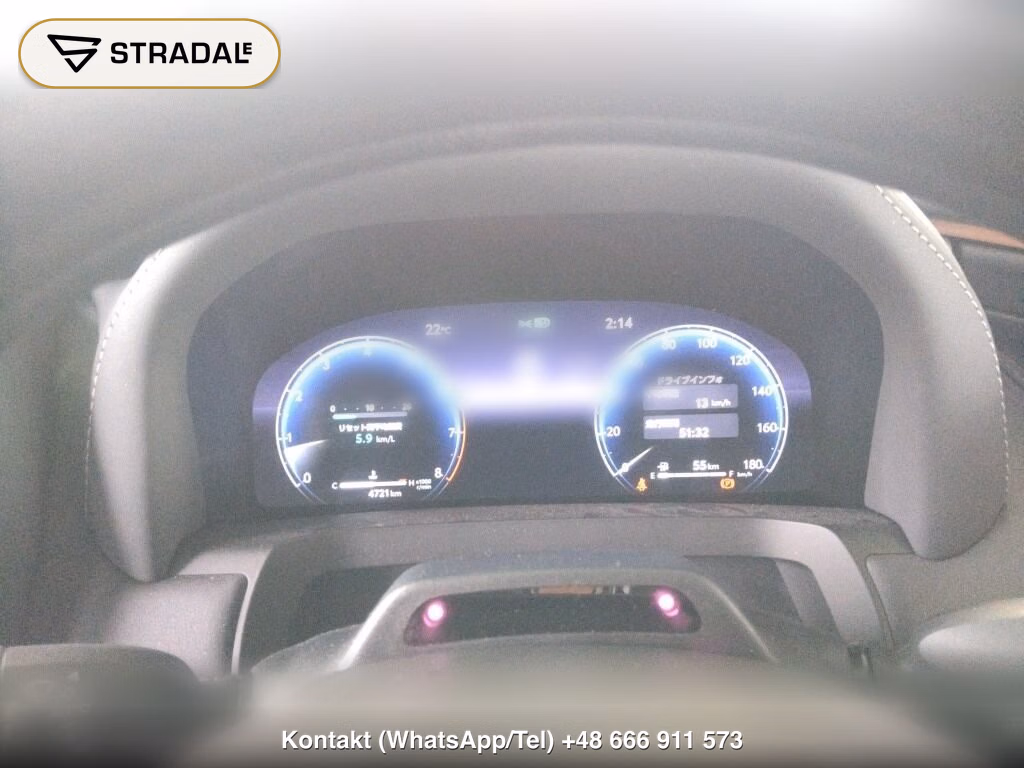 TOYOTA ALPHARD Z, miniaturka 7