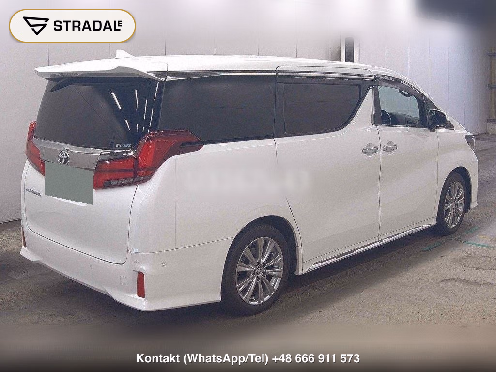 TOYOTA ALPHARD 2.5S TYPE GOLD, miniaturka 6