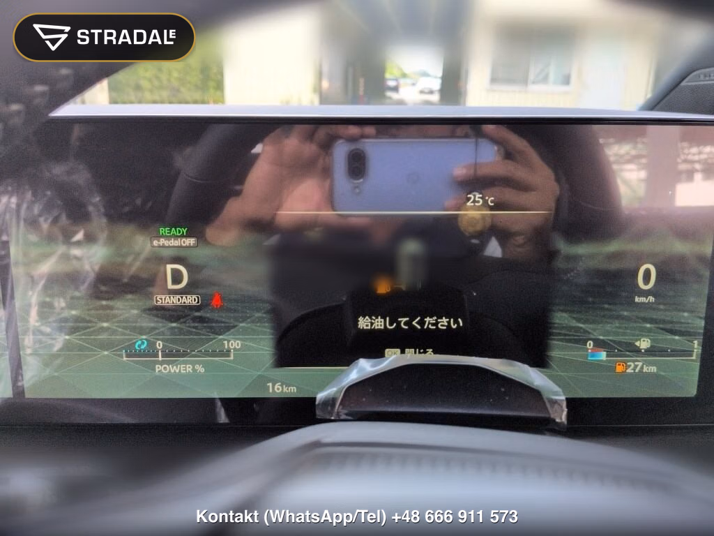 NISSAN ELGRAND 5D 4WD AUTECH LINE E-4ORCE G-SPEC, miniaturka 7