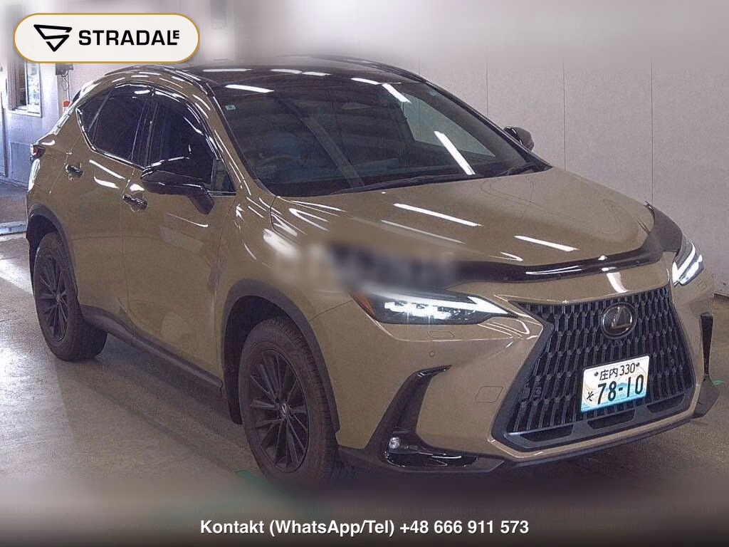 LEXUS NX 4WD NX450H+ OVER TRAIL, miniaturka 2