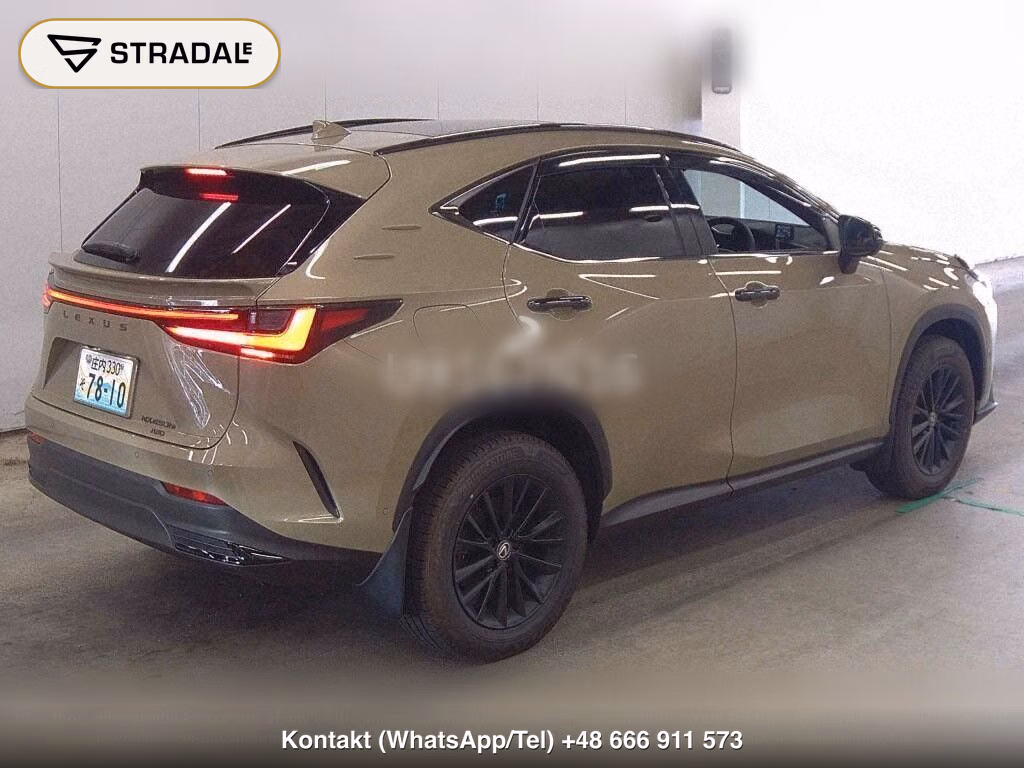 LEXUS NX 4WD NX450H+ OVER TRAIL, miniaturka 6