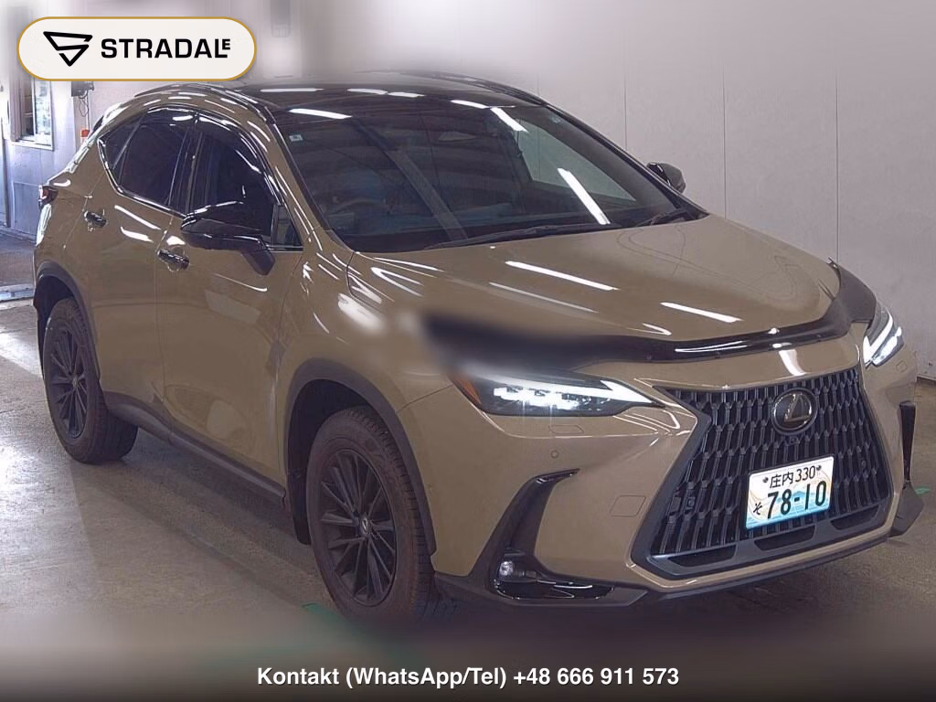LEXUS NX 4WD NX450H+ OVER TRAIL 2024, aukcja z Japonii, zdjęcie 1