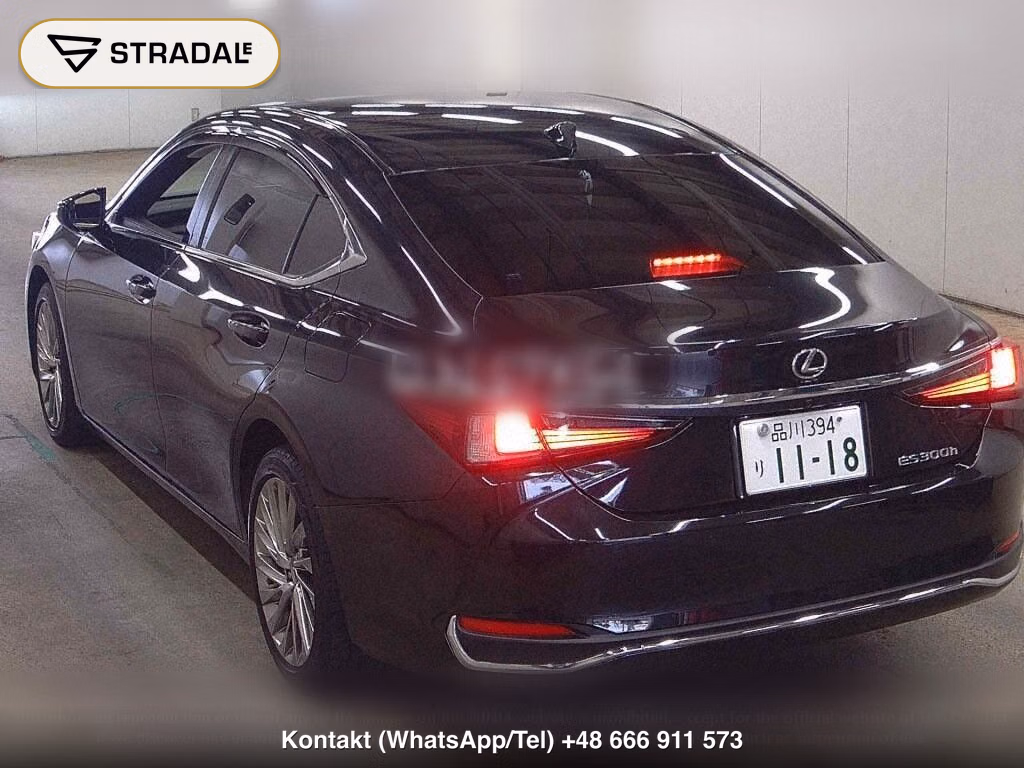 LEXUS ES ES300H VERSION L, miniaturka 3