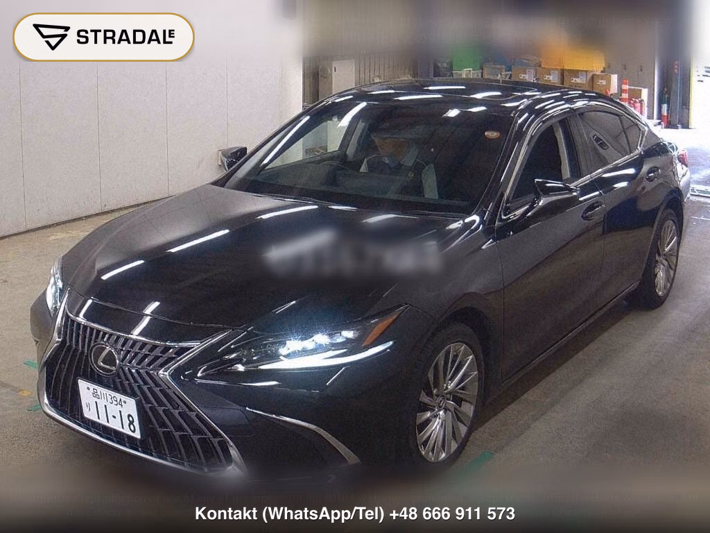 LEXUS ES ES300H VERSION L, miniaturka 5