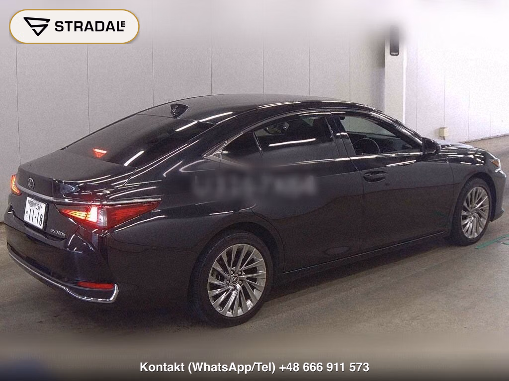 LEXUS ES ES300H VERSION L, miniaturka 6