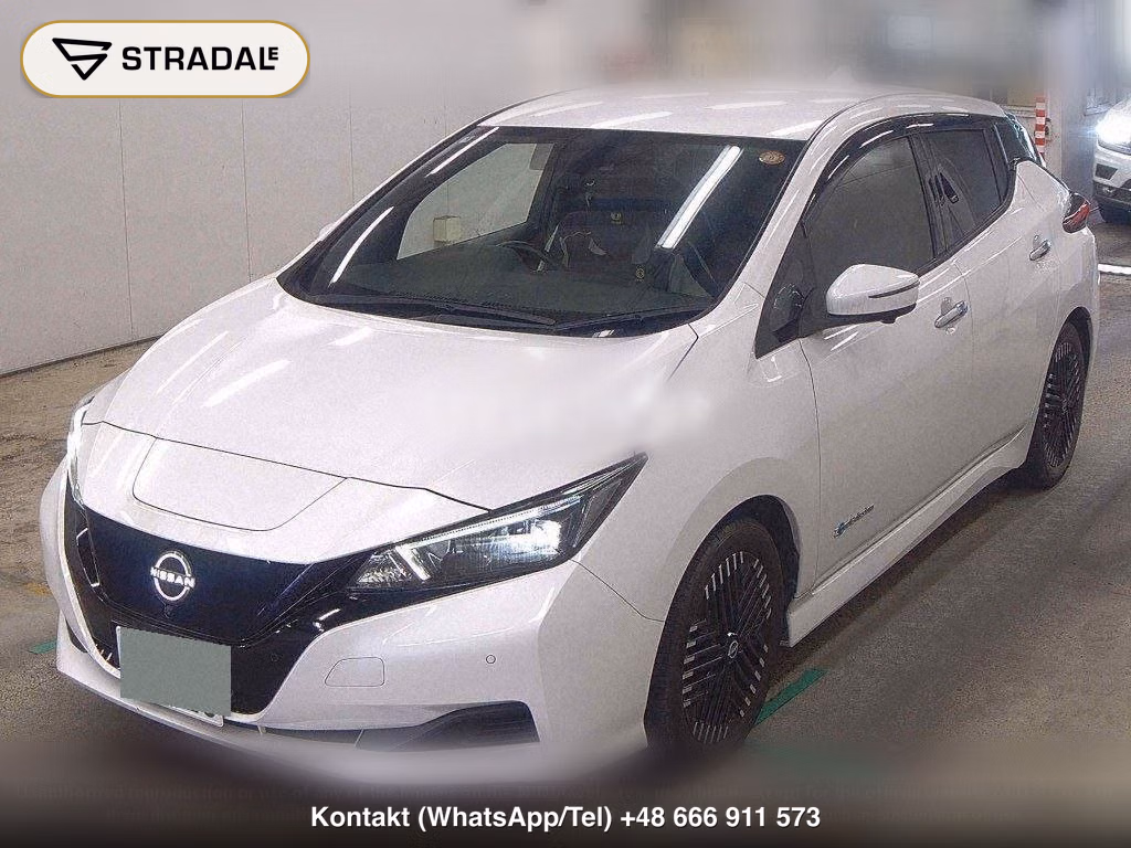 NISSAN LEAF X V SELECTION, miniaturka 5