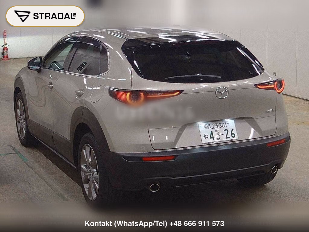 MAZDA CX-30 20S PROACTIVE TOURING SELECTION, miniaturka 3