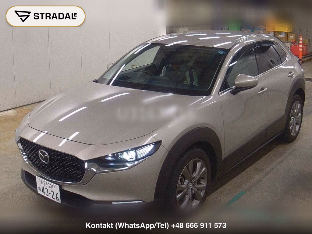 MAZDA CX-30 20S PROACTIVE TOURING SELECTION, miniaturka 5