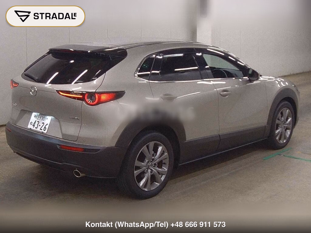 MAZDA CX-30 20S PROACTIVE TOURING SELECTION, miniaturka 6