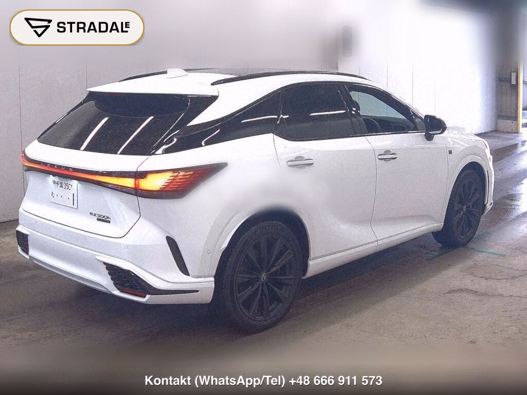 LEXUS RX 4WD RX500H F SPORT PERFORMANCE, miniaturka 6