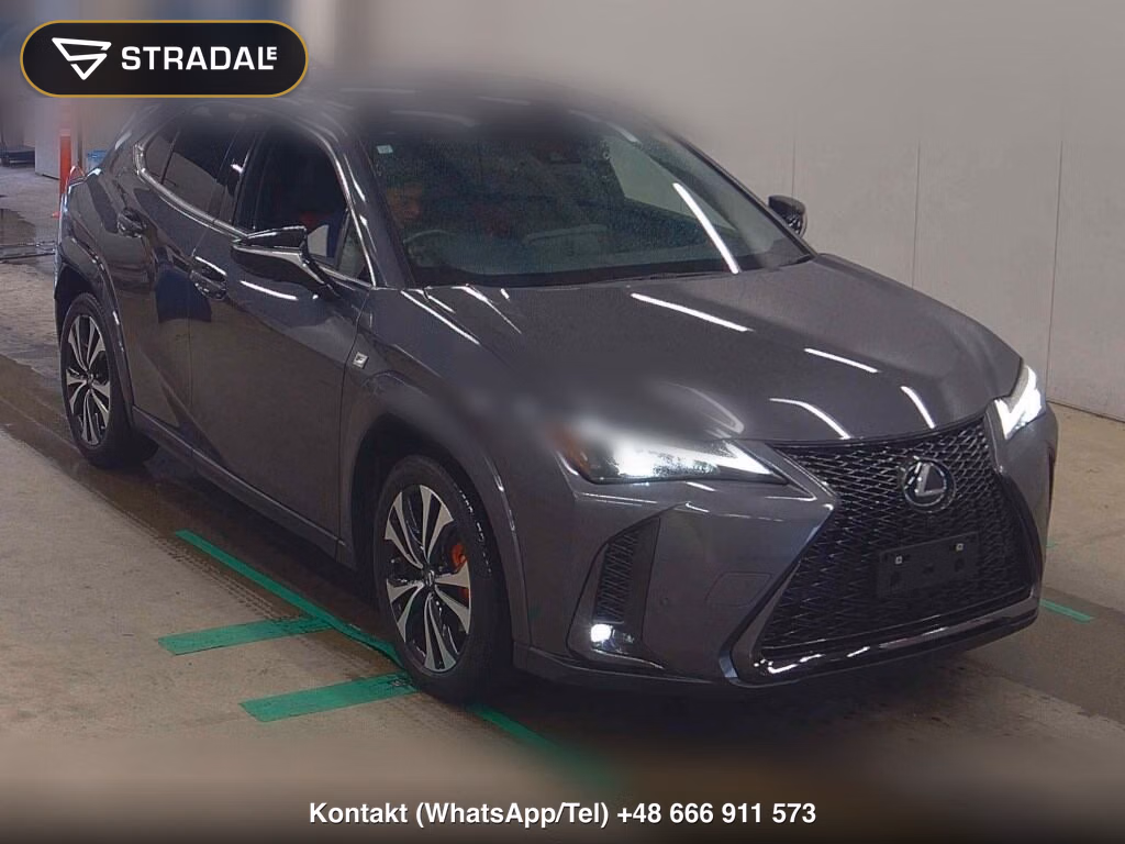 LEXUS UX UX250H F SPORT EMOTIONAL EXPLORER 2023, aukcja z Japonii, zdjęcie 1