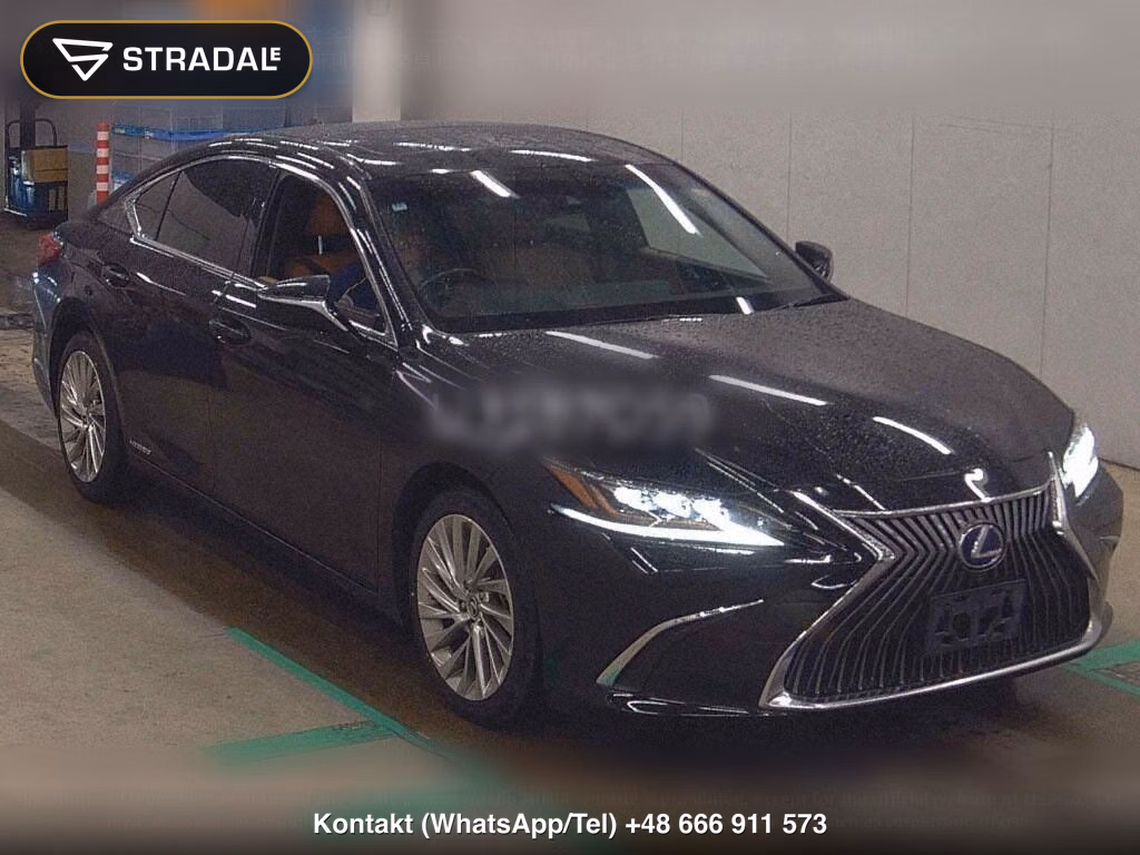 LEXUS ES ES300H VERSION L, miniaturka 2