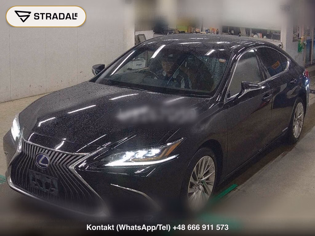 LEXUS ES ES300H VERSION L, miniaturka 5