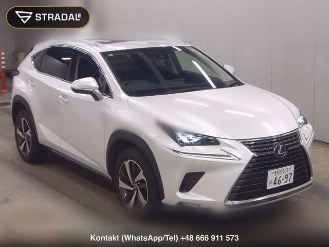 LEXUS NX NX300 VERSION L 2020, samochód z aukcji Japonii