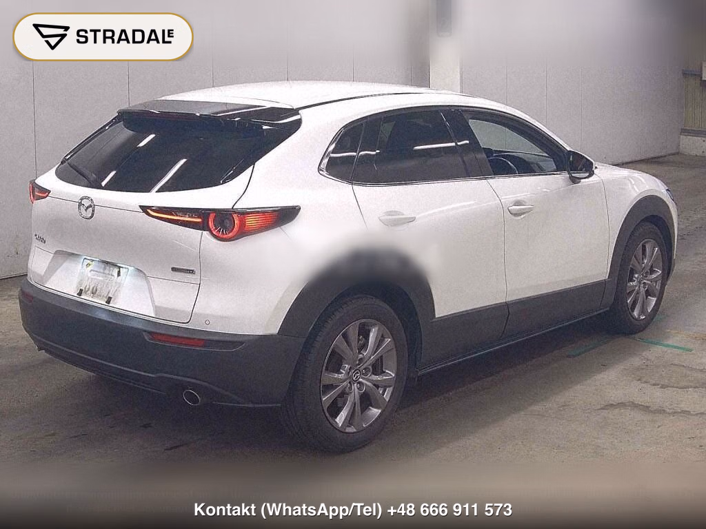 MAZDA CX-30 XD PROACTIVE TOURING SELECTION, miniaturka 6