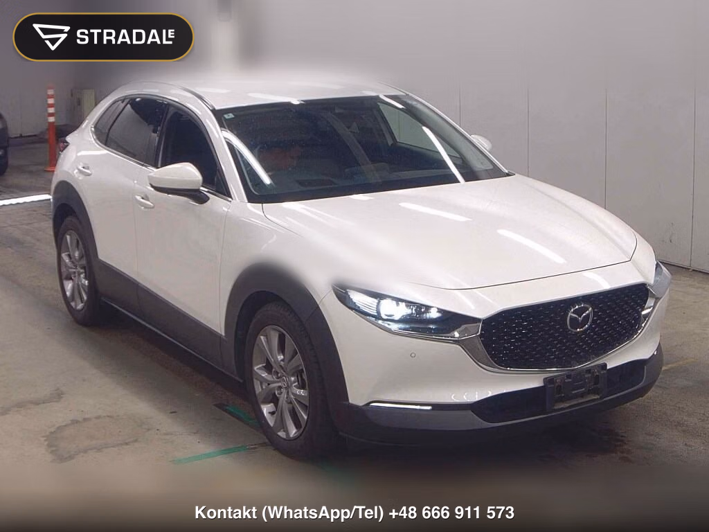 MAZDA CX-30 XD PROACTIVE TOURING SELECTION 2020, aukcja z Japonii, zdjęcie 1