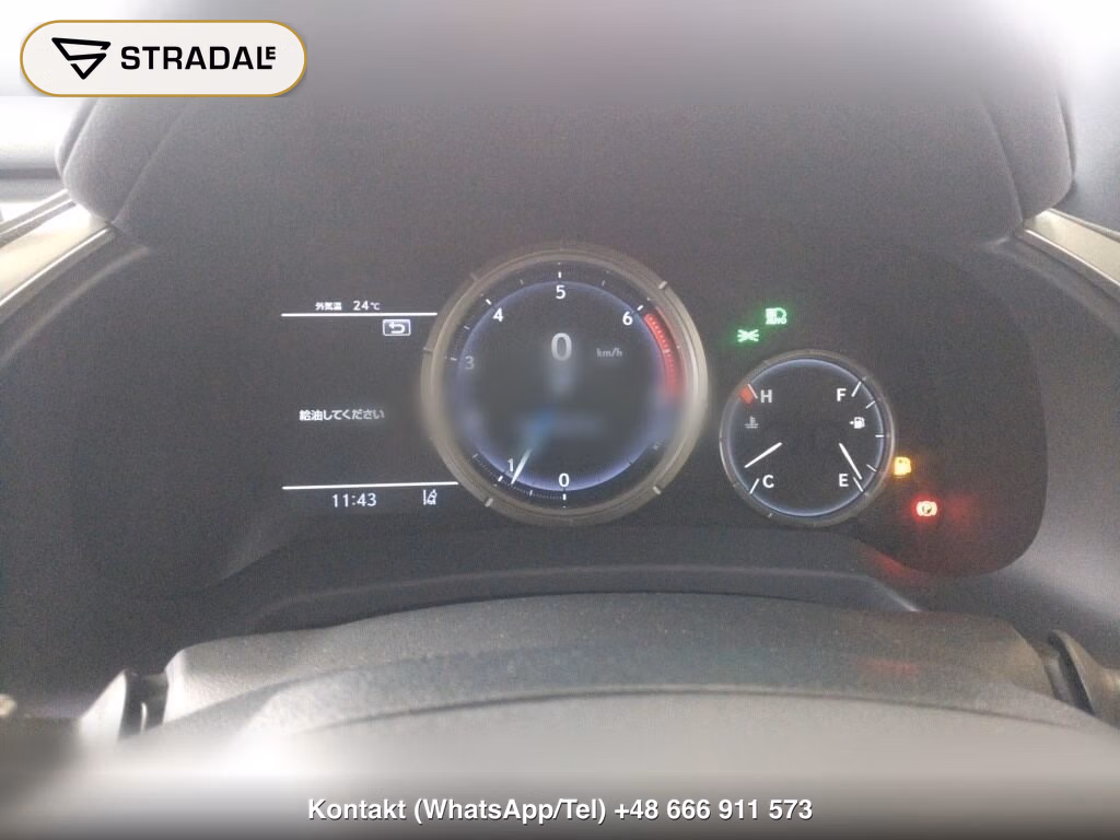 LEXUS RX RX300 F SPORT, miniaturka 7