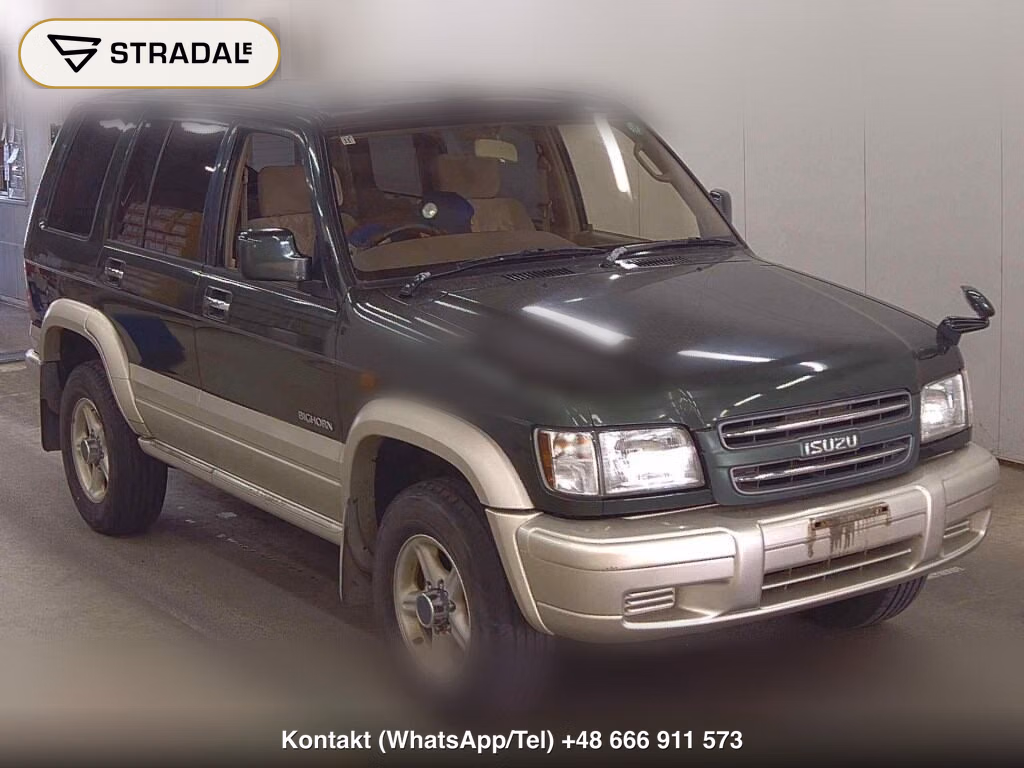 ISUZU BIGHORN 5D 4WD PLAISIR LONG 1999, aukcja z Japonii, zdjęcie 1