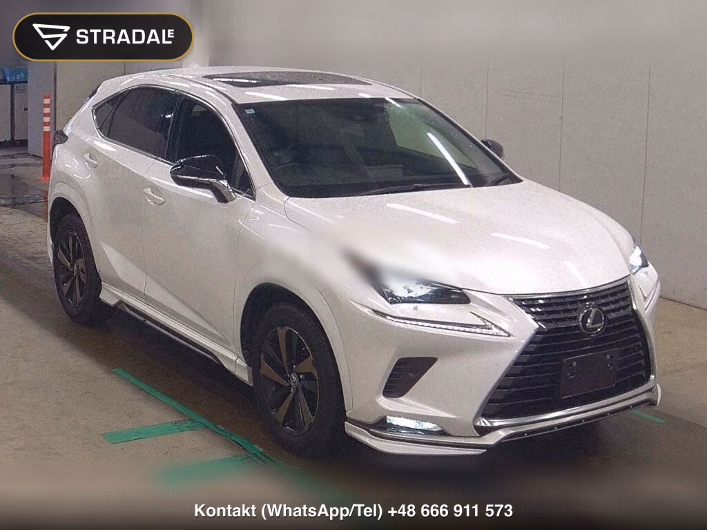 LEXUS NX NX300 SPECIAL EDITION SPICE AND CHIC, miniaturka 2