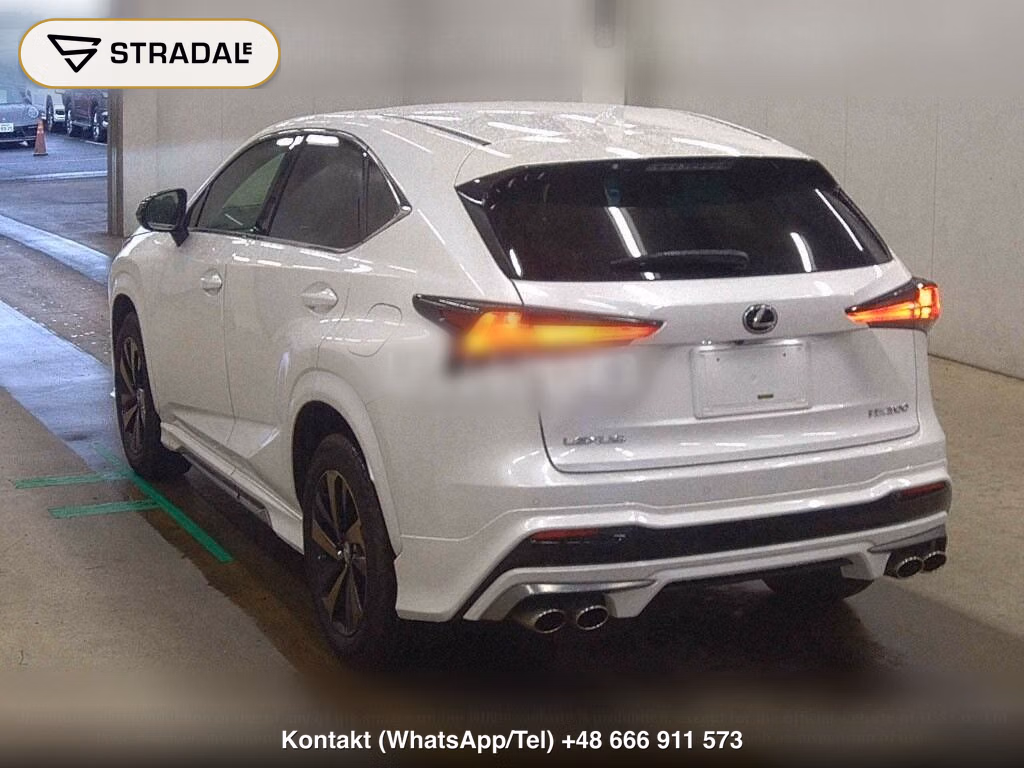 LEXUS NX NX300 SPECIAL EDITION SPICE AND CHIC, miniaturka 3