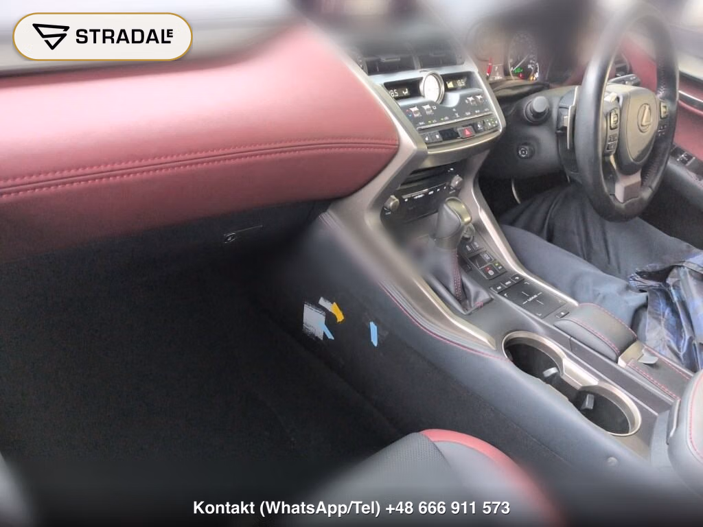 LEXUS NX NX300 SPECIAL EDITION SPICE AND CHIC, miniaturka 4