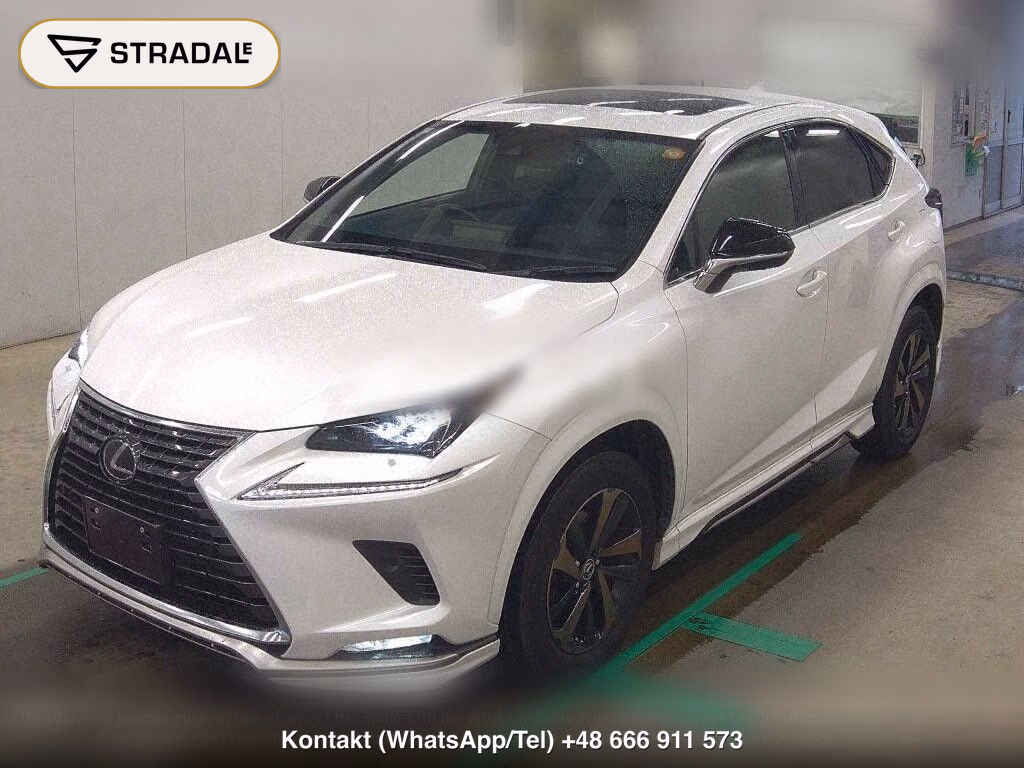 LEXUS NX NX300 SPECIAL EDITION SPICE AND CHIC, miniaturka 5