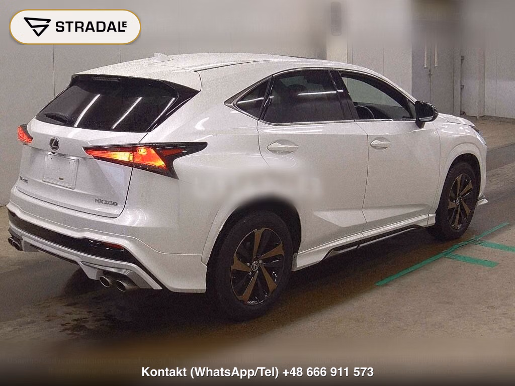 LEXUS NX NX300 SPECIAL EDITION SPICE AND CHIC, miniaturka 6