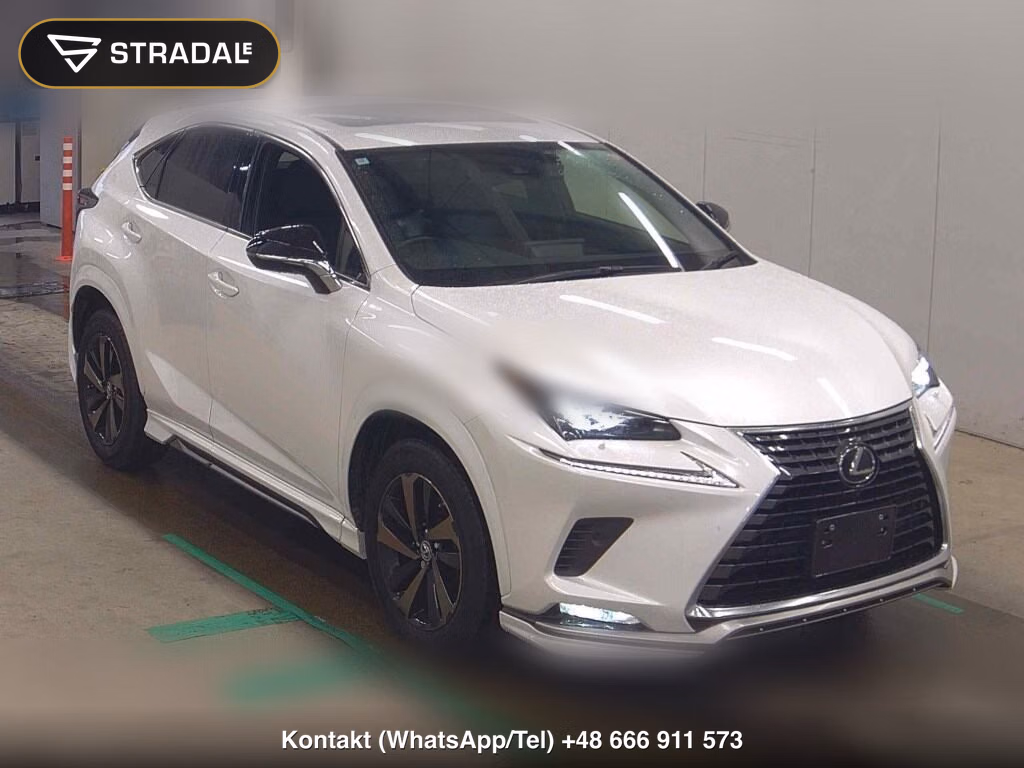 LEXUS NX NX300 SPECIAL EDITION SPICE AND CHIC 2020, aukcja z Japonii, zdjęcie 1