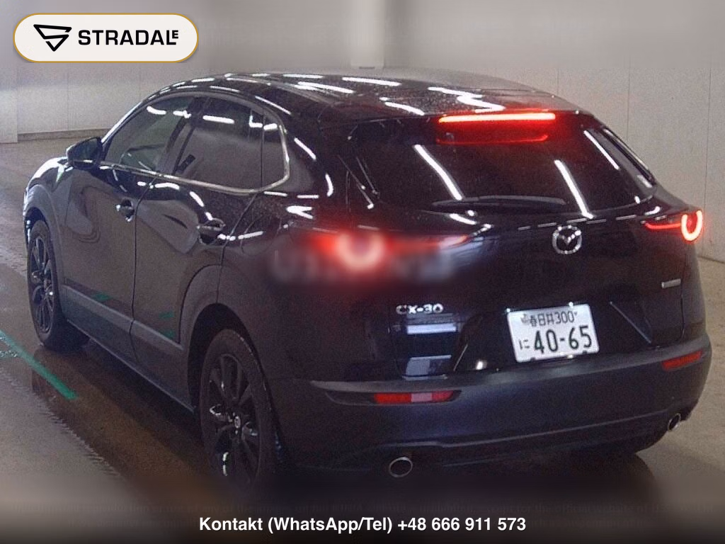 MAZDA CX-30 XD RETRO SPORTS EDITION, miniaturka 3