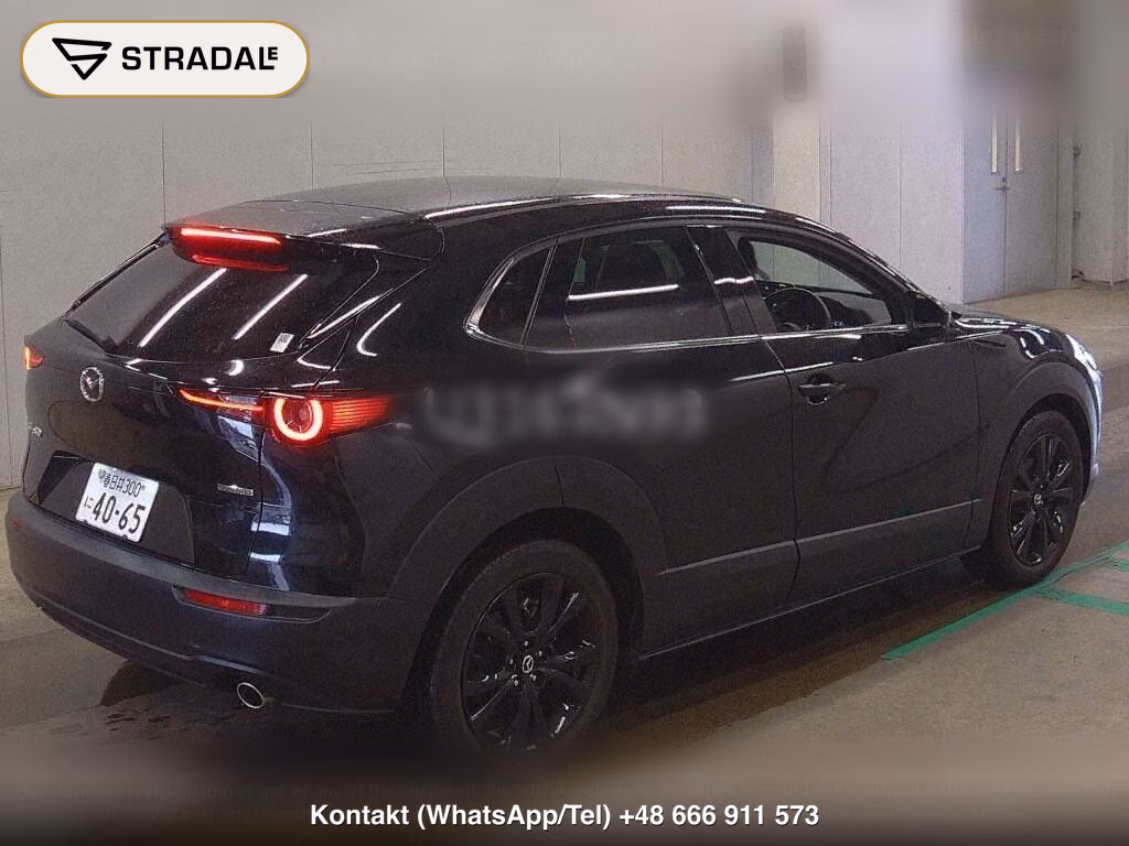 MAZDA CX-30 XD RETRO SPORTS EDITION, miniaturka 6