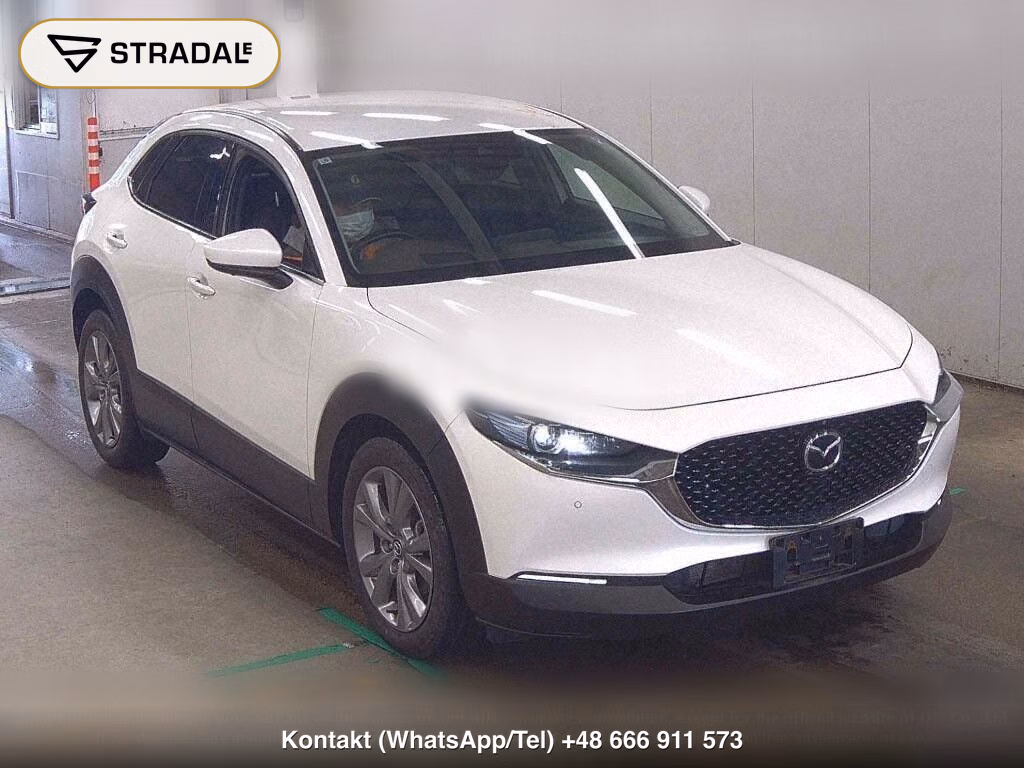 MAZDA CX-30 4WD 20S L PACKAGE, miniaturka 2