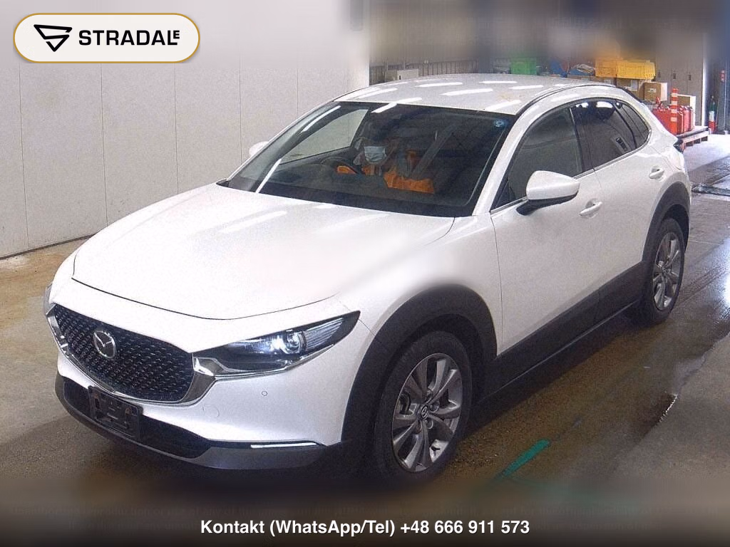 MAZDA CX-30 4WD 20S L PACKAGE, miniaturka 5