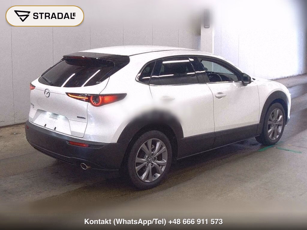 MAZDA CX-30 4WD 20S L PACKAGE, miniaturka 6