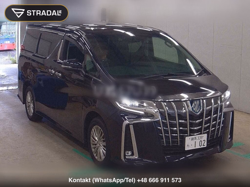 TOYOTA ALPHARD HYBRID 4WD SR C PACKAGE, miniaturka 2