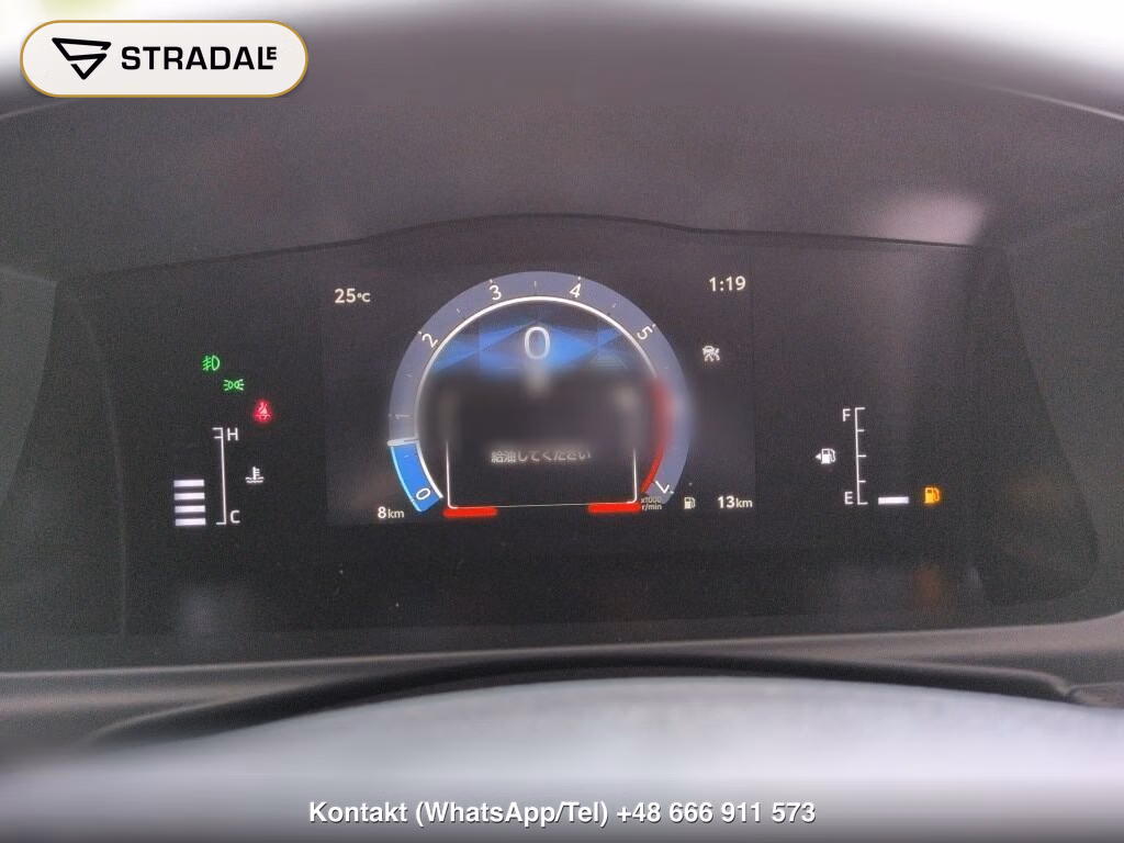 TOYOTA HIACE WAGON 4D 4WD GRAND CABIN, miniaturka 7