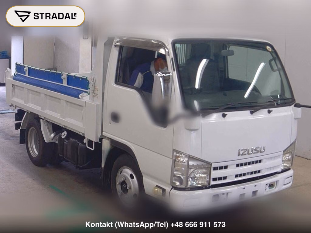 ISUZU ELF TRUCK 2D OTHERS 2013, aukcja z Japonii, zdjęcie 1