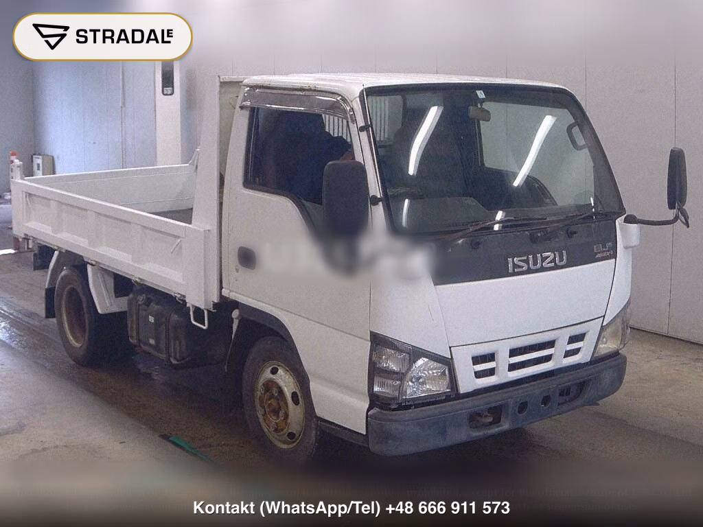 ISUZU ELF TRUCK DUMP, miniaturka 2