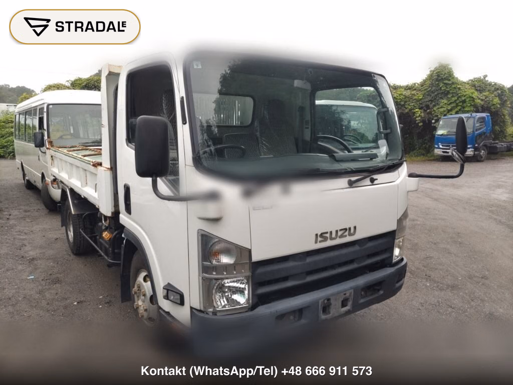 ISUZU ELF TRUCK 2D DUMP 2013, aukcja z Japonii, zdjęcie 1