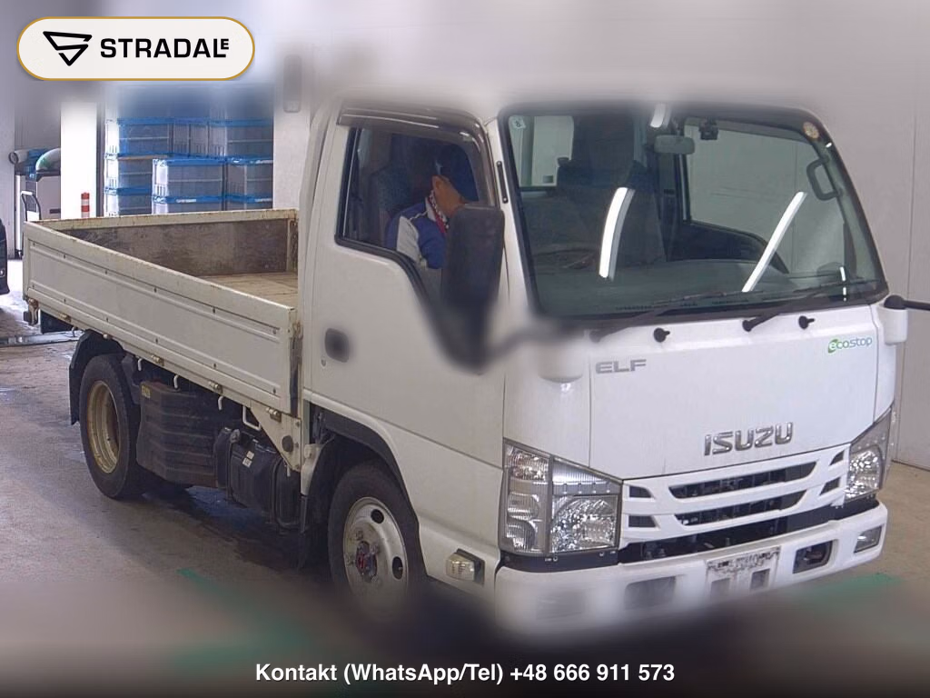 ISUZU ELF TRUCK 2D 4WD 2019, aukcja z Japonii, zdjęcie 1