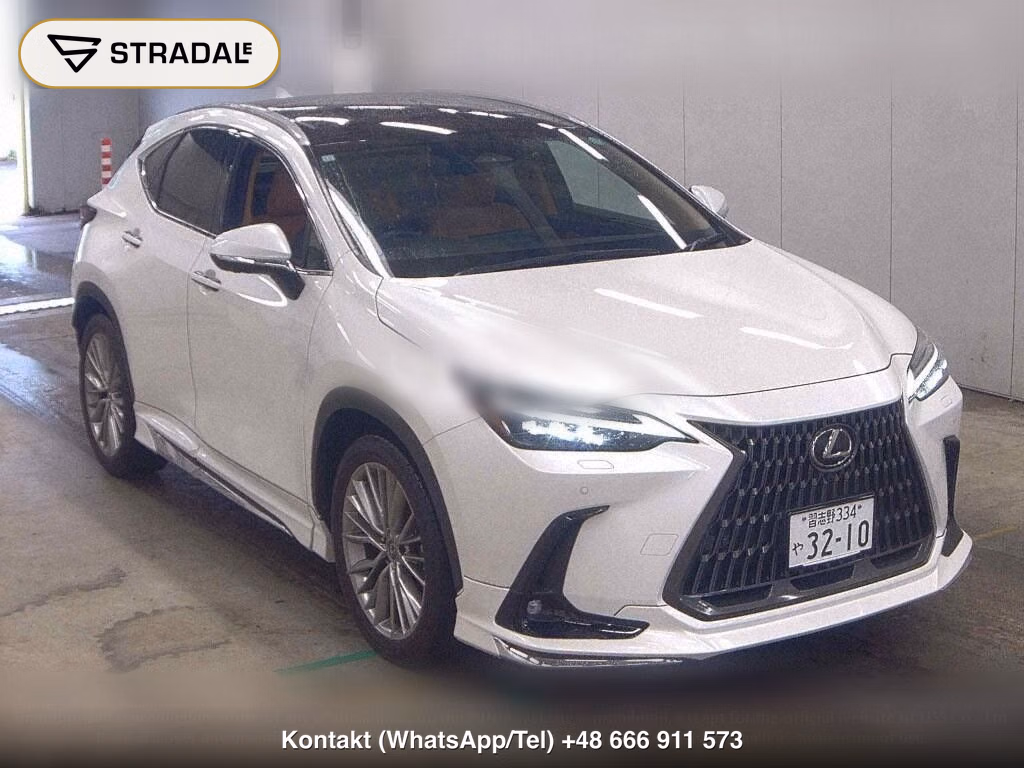 LEXUS NX NX250 VERSION L, miniaturka 2